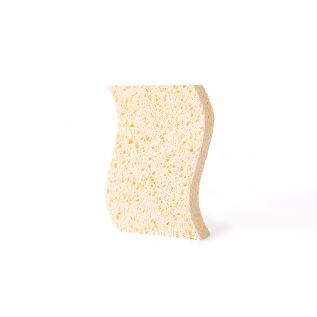 Biodegradable Sponges