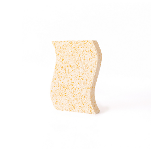 Biodegradable Sponges