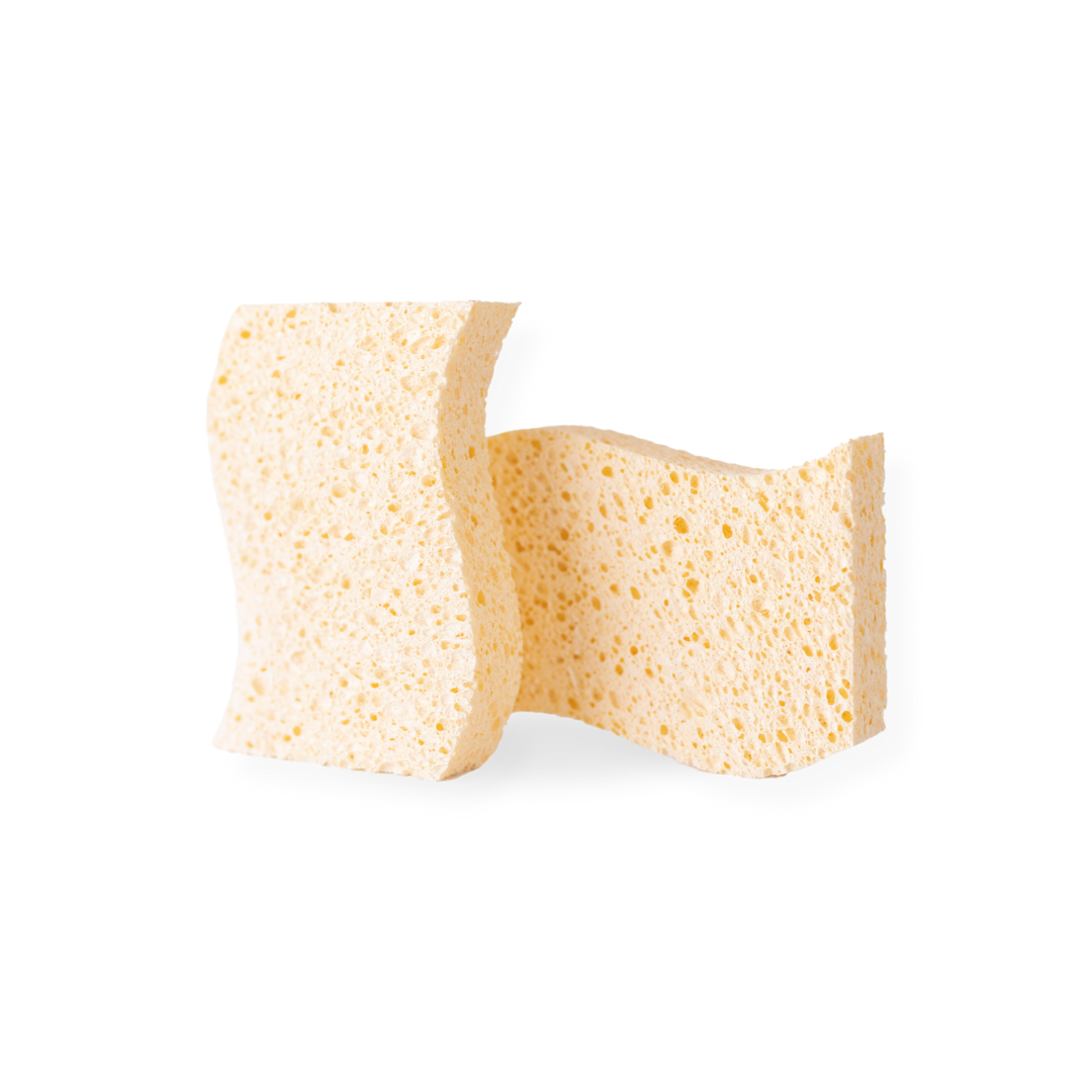 Biodegradable Sponges