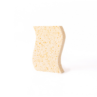 Biodegradable Sponges