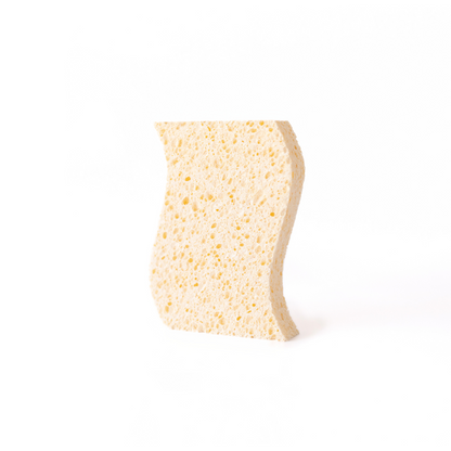 Biodegradable Sponges