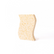 Biodegradable Sponges